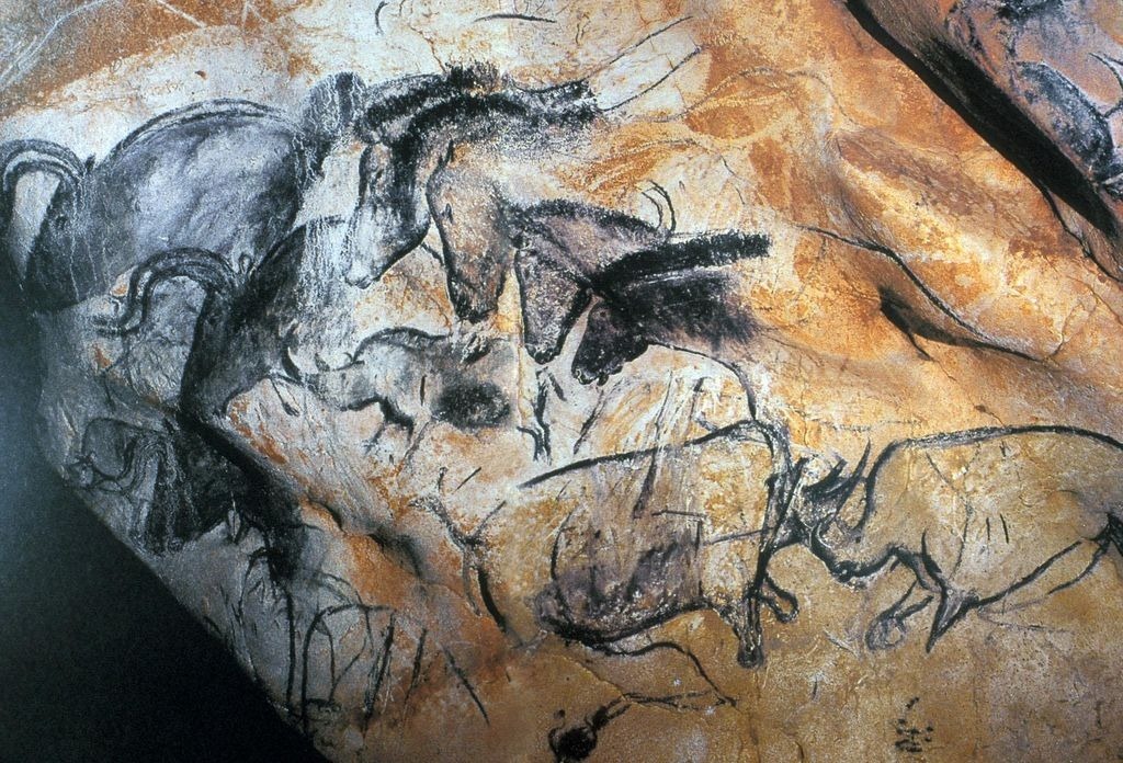 Prehistoric cave paintings from Chauvet-Pont d'Arc Cave showing horses, rhinoceroses, and aurochs rendered in charcoal on limestone. Among the oldest figurative art in the world, dating to over 36,000 years ago.